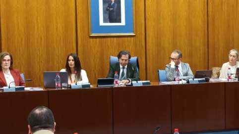 CSIF pide que la nueva Ley de la Función Pública de Andalucía despolitice la Administración y reclama mayores garantías para las potestades públicas