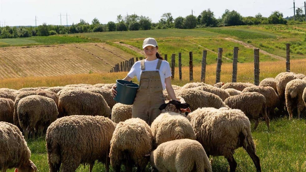Convocados los premios a Mujeres innovadoras en la agricultura y a Jóvenes ganaderos