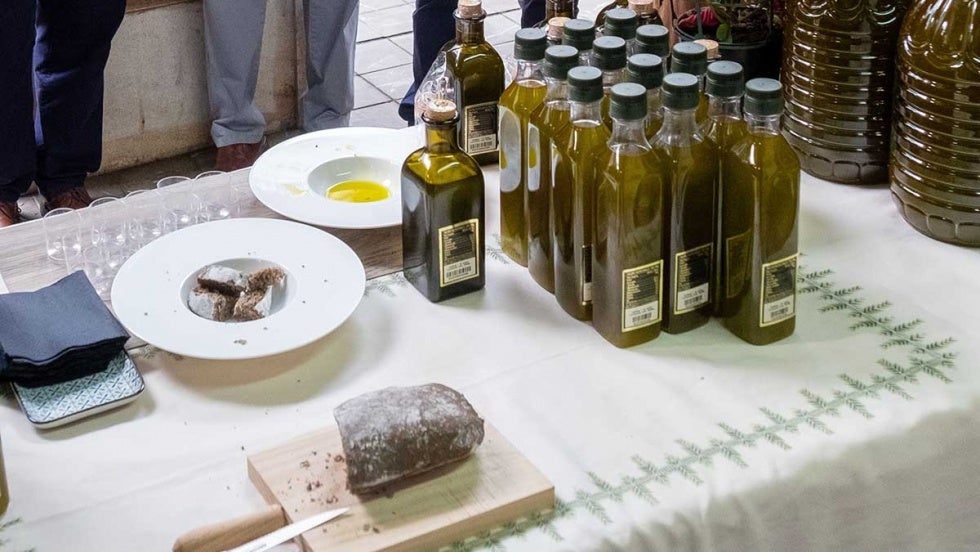 ¿Cuál será el mejor aceite de oliva de la provincia?