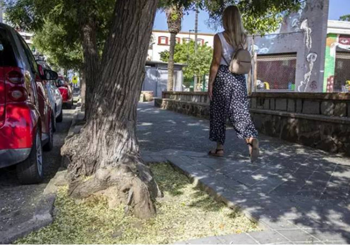 Foto de archivo de la avenida Federico Molina, en Huelva, donde quedarán pendientes varias actuaciones