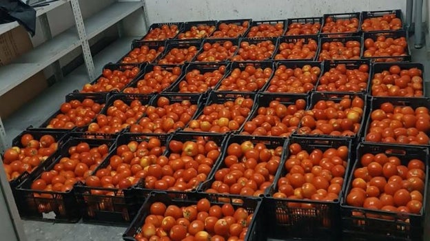 Tomates incautados