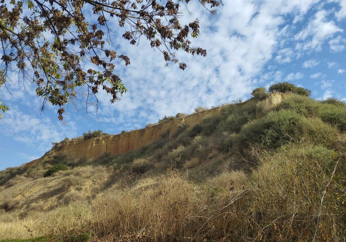 Uno de los cabezos de Huelva en la ladera del Conquero