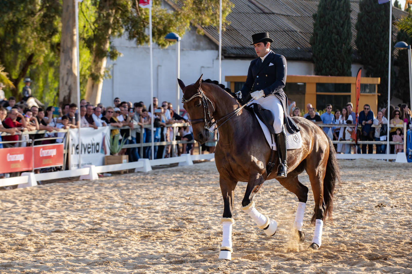 El caballo se hace arte en la Feria de Otoño de Huelva