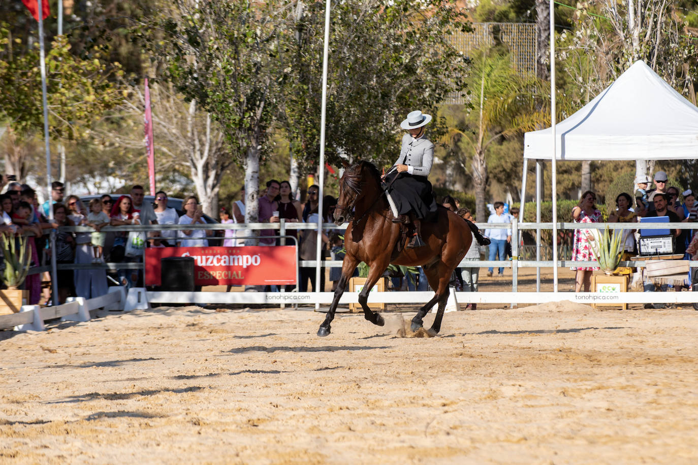 El caballo se hace arte en la Feria de Otoño de Huelva