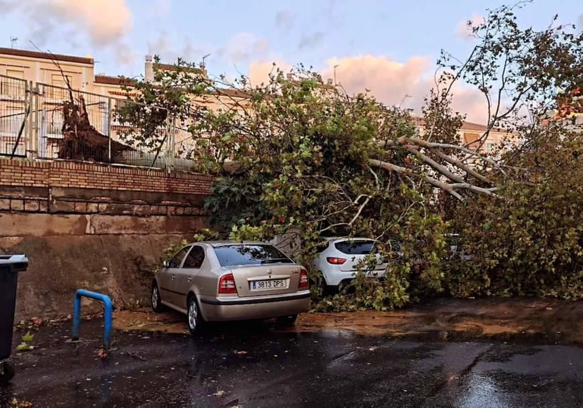 Huelva capital ha sufrido bastantes daños con el temporal del domingo