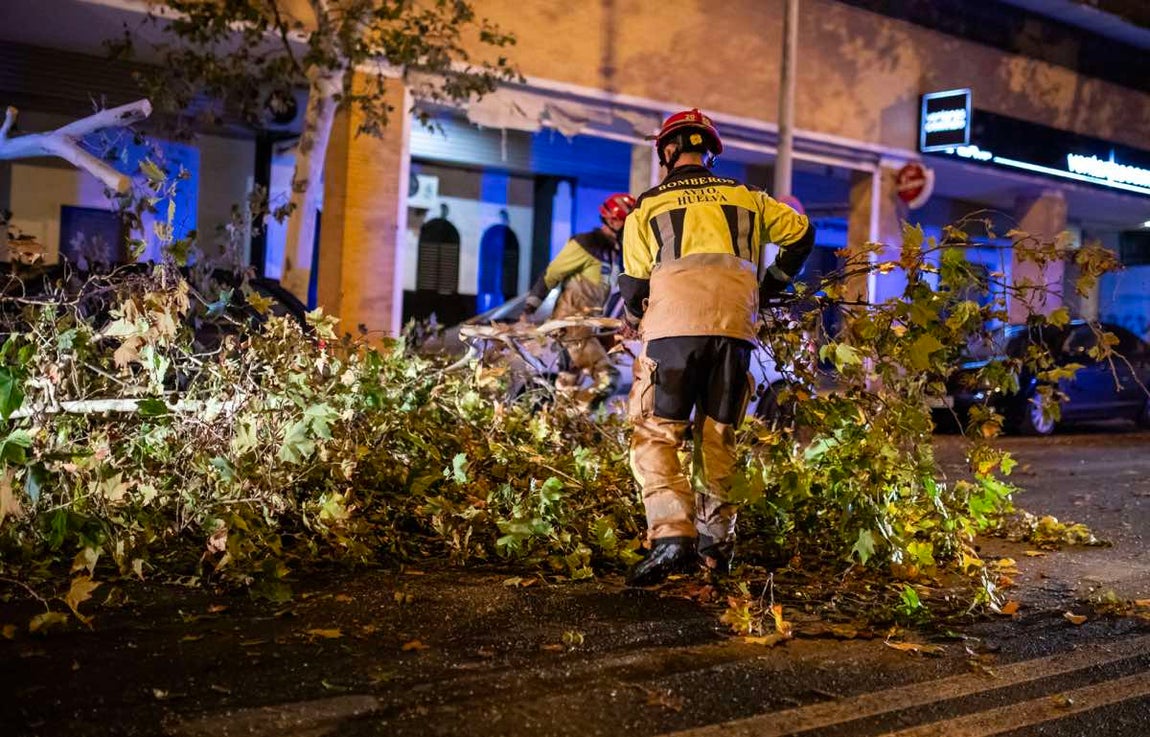 El desolador estado de Huelva capital tras el paso de &#039;Bernard&#039;