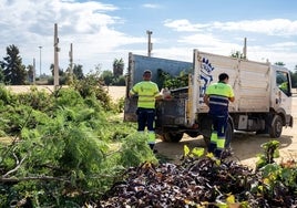 El Ayuntamiento de Huelva amontonará los restos de árboles caídos en el Recinto Colombino y pide a la ciudadanía que se abstenga de acercarse por seguridad