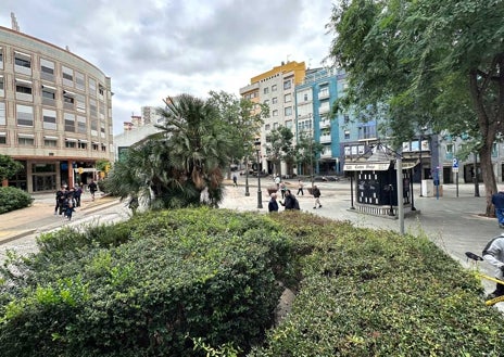 Imagen secundaria 1 - La ciudad se ha despertado  viendo cómo uno de sus rincones más emblemáticos había perdido el elemento que le daba su identidad, una palmera que ha sido punto de encuentro de varias generaciones de onubenses 