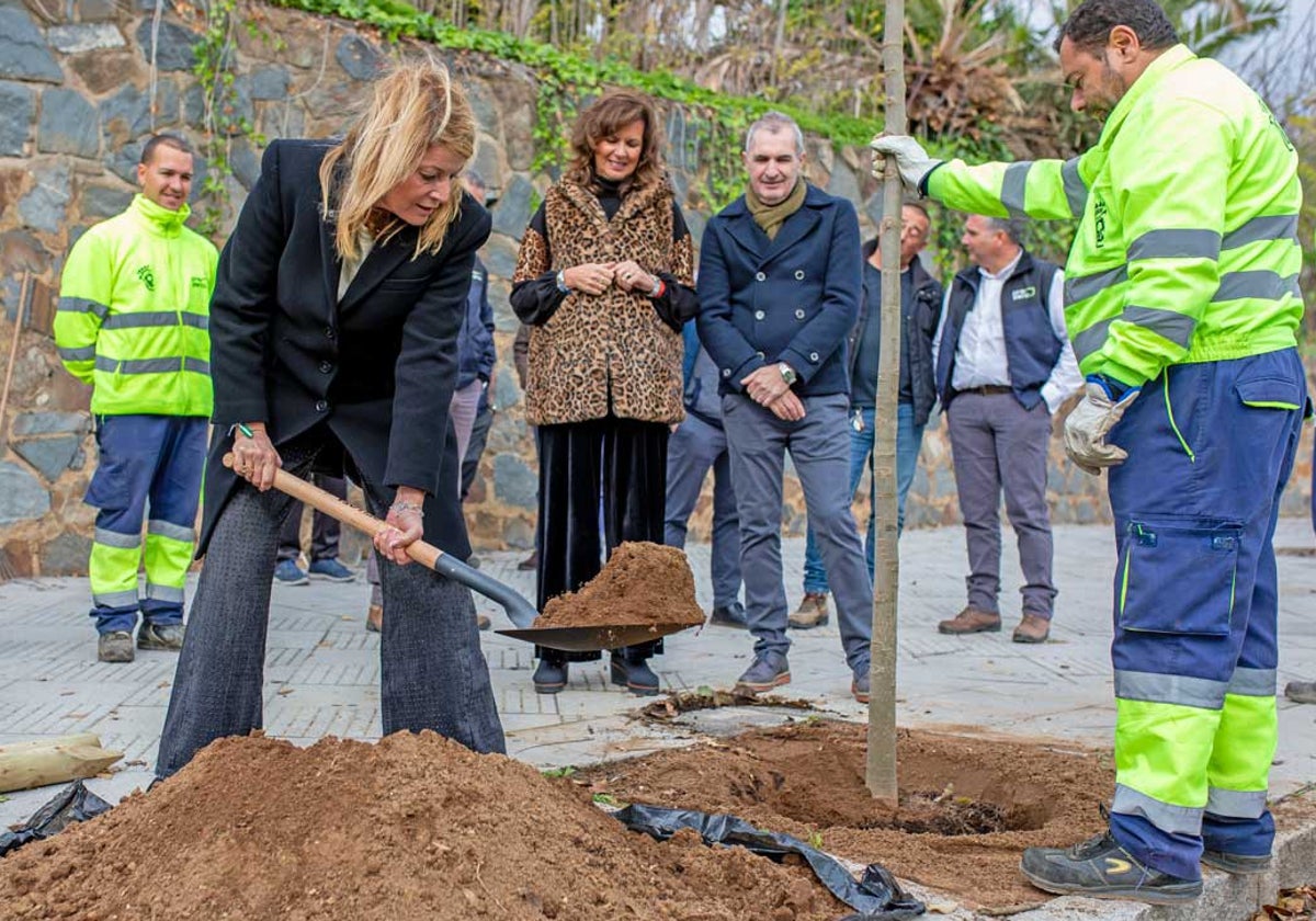 La alcaldesa de Huelva, Pilar Miranda, ayuda a colocar uno de los nuevos ejemplares