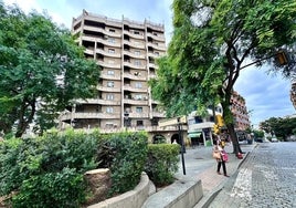 La Plaza Quintero Báez recuperará la palmera antes de Semana Santa