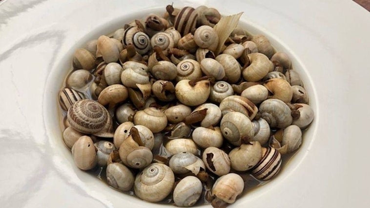 Arranca la temporada de caracoles: estos son los más típicos de Huelva
