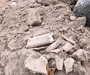 Aparecen restos óseos presumiblemente humanos en las obras de remodelación de la plaza de San Pedro y temen «que acaben en la basura»