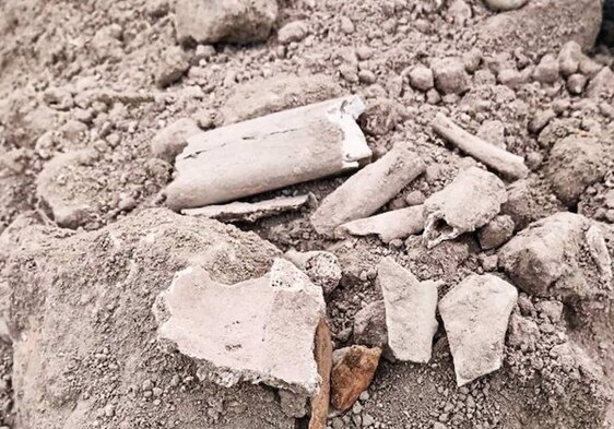Imagen de los restos óseos aparecidos durante las obras de la plaza de San Pedro