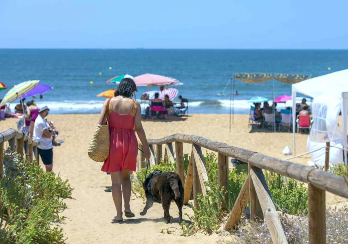 Aunque tradicionalmente los perros han sido bienvenidos a esta playa, ahora su presencia se limita a una zona de El Espigón