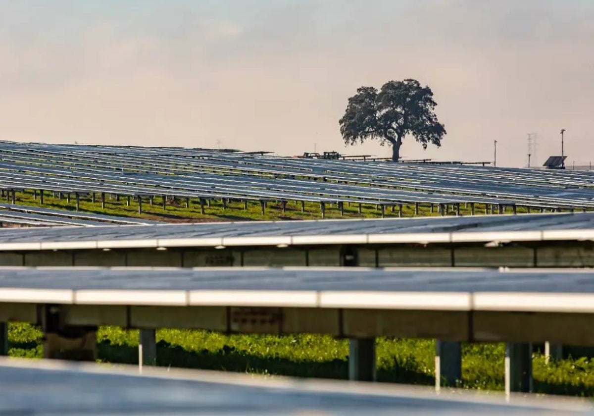 Vista de un parque fotovoltaico
