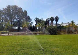 El Ayuntamiento de Huelva reducirá las praderas de césped cubriéndolas con restos de poda triturados