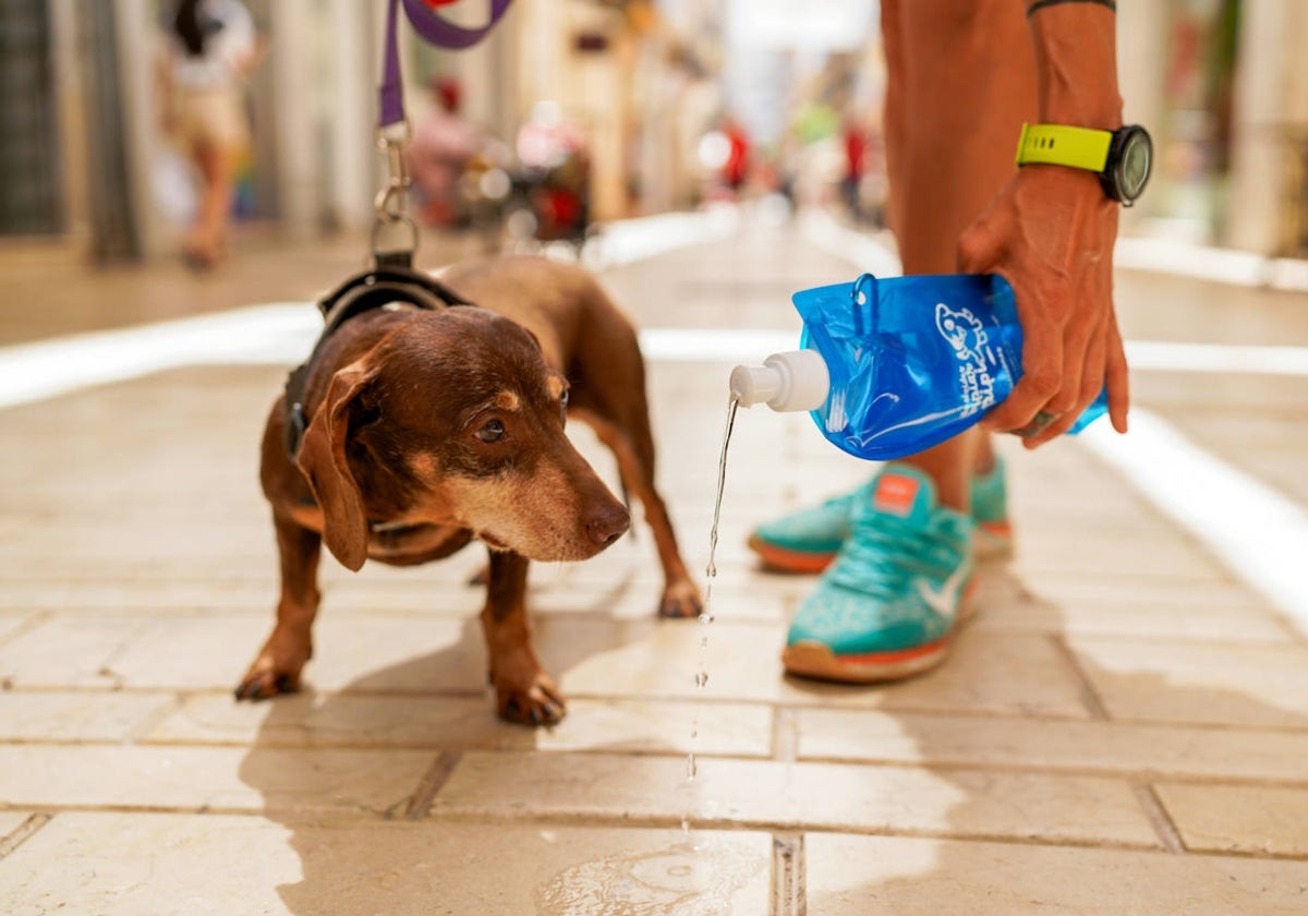 El Ayuntamiento de Huelva repartirá estas botellas para limpiar la orina de los perros