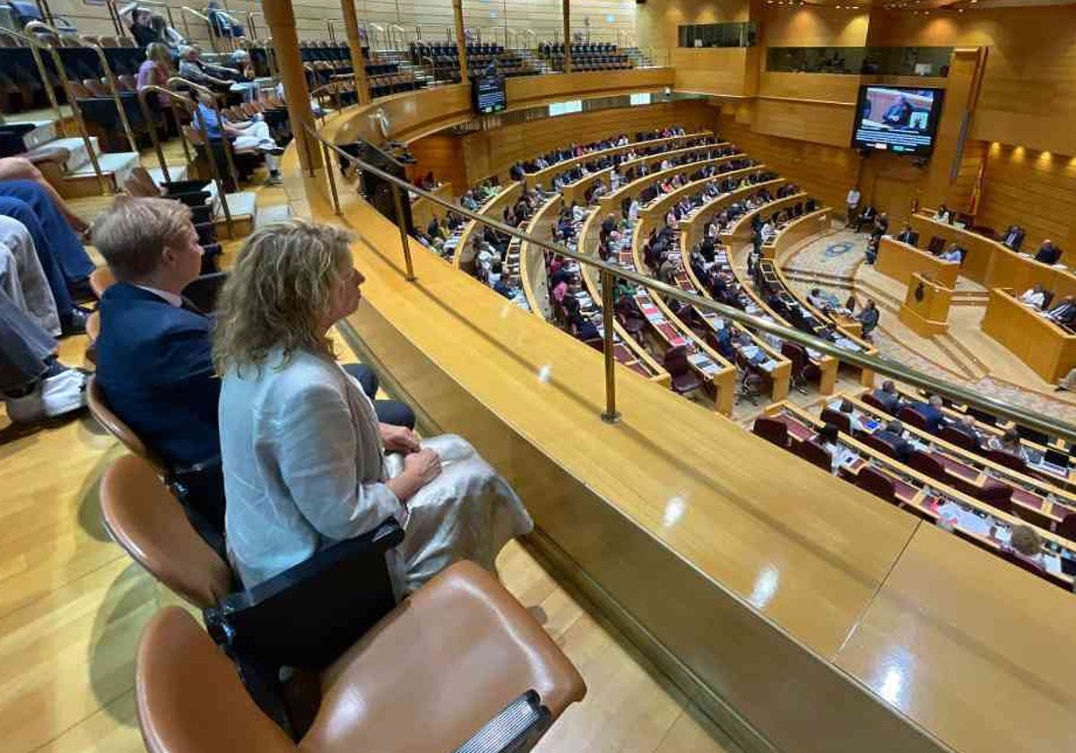 La alcaldesa de Huelva acompañada por el concejal de Presidencia, Alfonso Castro, en el Senado