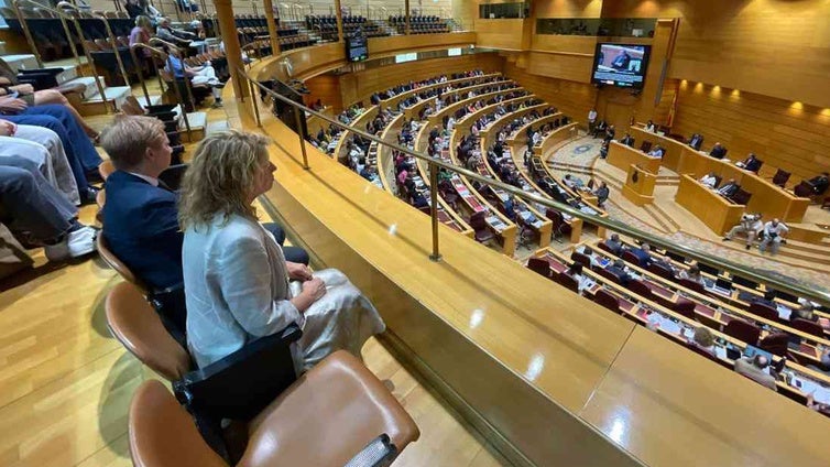 Pilar Miranda también reclama en el Senado la «irrenunciable» llegada del AVE a Huelva