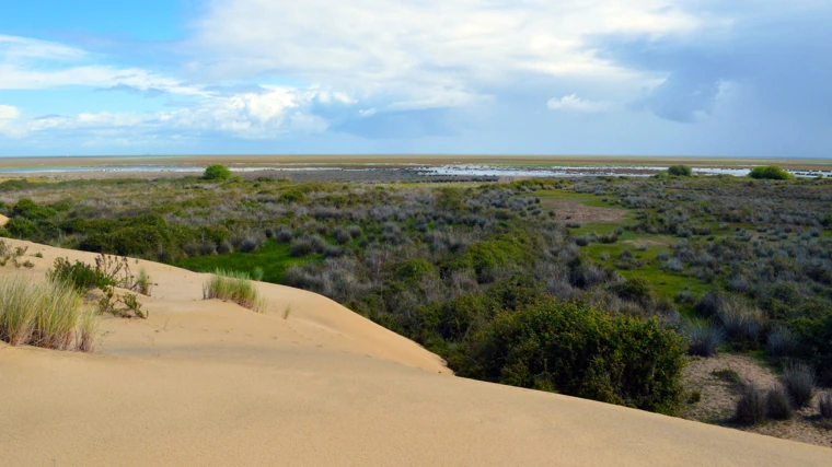 Cinco planes imprescindibles si visitas Huelva: desde sus monumentos hasta dónde disfrutar de su gastronomía