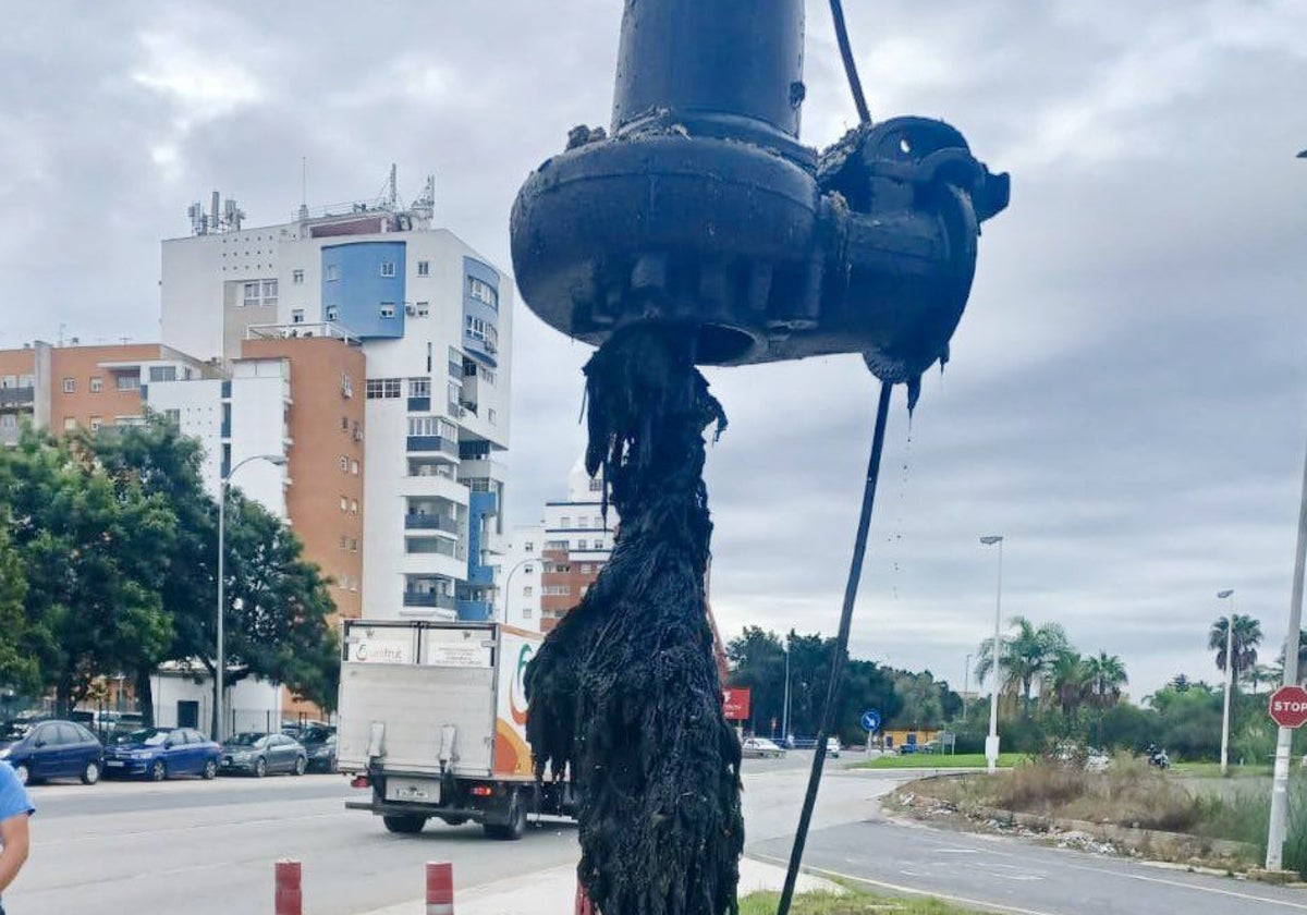 Madeja de toallitas sacada de una estación de bombeo