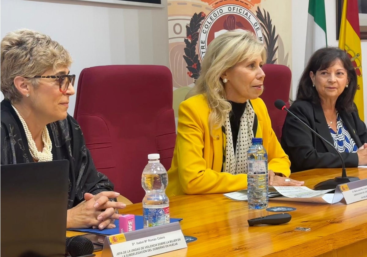 La subdelegada del Gobierno (en el centro de la imagen) durante la presentación de la jornada