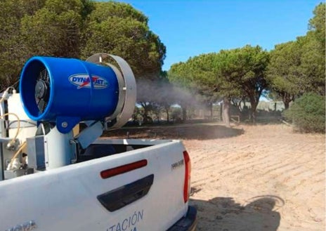Imagen secundaria 1 - Sólo un 4,41% de las especies de mosquitos capturados en Huelva pueden transmitir el virus del Nilo