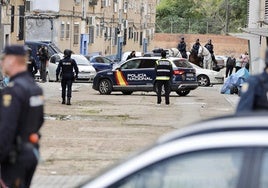 La impunidad en el Torrejón de Huelva: así destrozan las viviendas de la familia del Baba