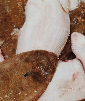 Imagen secundaria 2 - Xanty Elías, con la estrella verde sostenible de la Guía Michelín; gambas, boquerones y lenguados