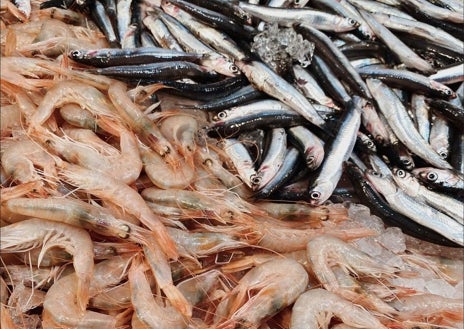 Imagen secundaria 1 - Xanty Elías, con la estrella verde sostenible de la Guía Michelín; gambas, boquerones y lenguados