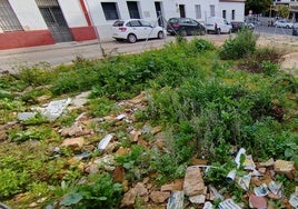 El PSOE denuncia proliferación de plagas en los solares abandonados de Huerto Paco
