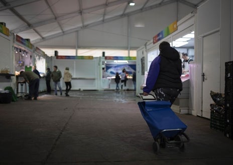 Imagen secundaria 1 - Juan Carlos Salguero, el presidente de la Asociación de Detallistas del Mercado de San Sebastián, y abajo detalles del provisional en la Plaza Paco Toronjo