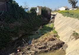 Reclaman «medidas urgentes» para evitar más inundaciones en La Ribera