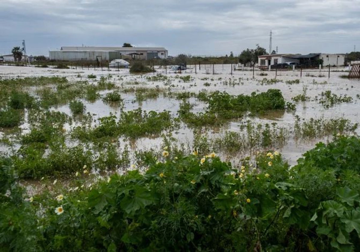 Algunas de las fincas agrícolas de la zona de las Peguerillas tras las fuertes lluvias caídas el pasado lunes