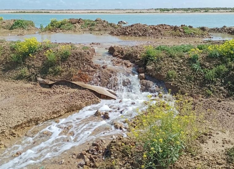 Fertiberia ha respondido a un comunicado de organizaciones ecologistas denunciando vertidos por las últimas lluvias caídas en Huelva