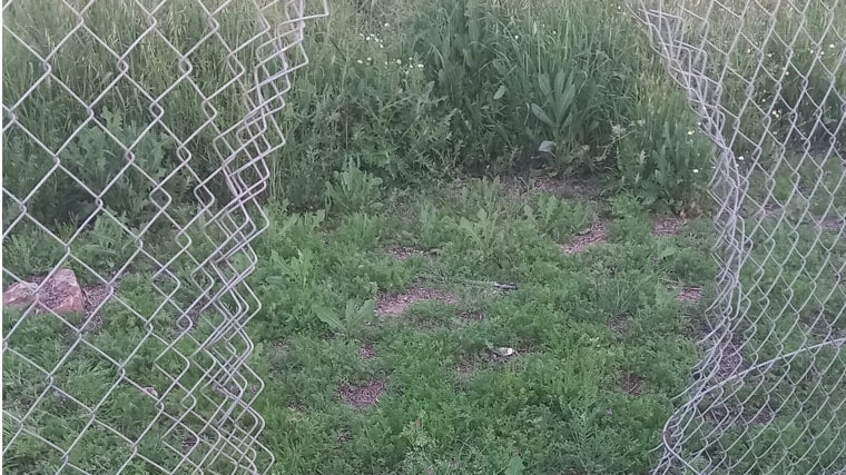 Agujero en la malla que cierra el acceso a la vía en uno de los puntos donde se ha sustraído cable