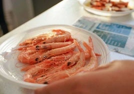 Un plato de marisco en la Feria de la Gamba de Huelva