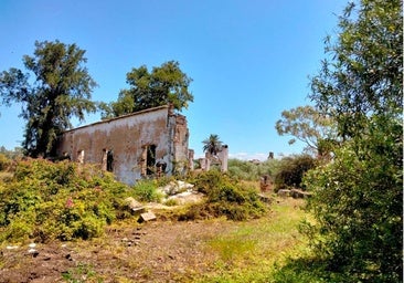 Un recorrido por las ruinas de la antigua fábrica de Tejero, conservera onubense de referencia en España