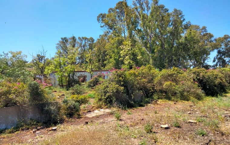 Esto fue un hermoso y frondoso jardín a la entrada del chalé de Tejero