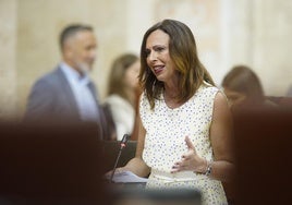 La Junta critica que el AVE Sevilla-Huelva-Faro no sea clave para el Gobierno de España y sí para el de Portugal