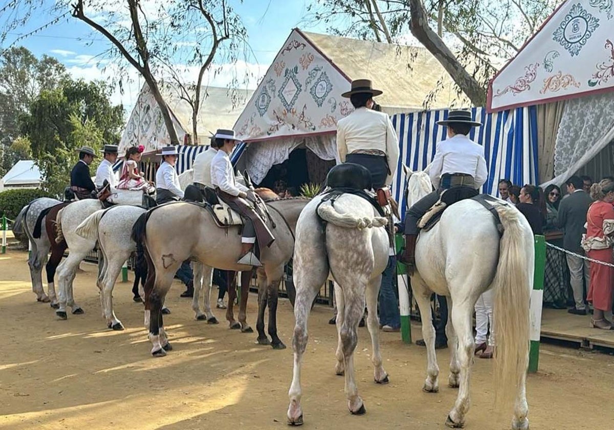Varios caballos junto a unas casetas en la última edición de la feria