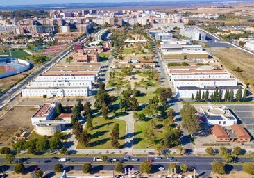 Ocho investigadores de la Universidad de Huelva, entre los más citados del mundo en 2024
