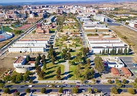 Ocho investigadores de la Universidad de Huelva, entre los más citados del mundo en 2024