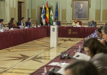 Luz verde del Pleno a la expropiación de terrenos para que el Cabezo de la Joya se convierta en el Parque Arqueológico de Huelva