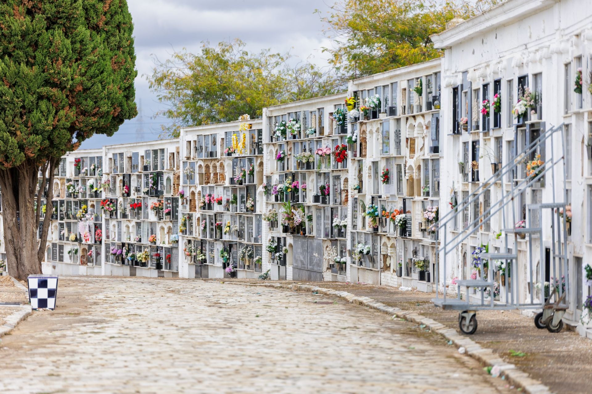 Imágenes del Día de todos los Santos en el cementerio de Huelva