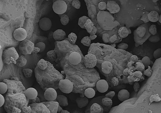 Microalgas en acción sobre metales pesados en el agua