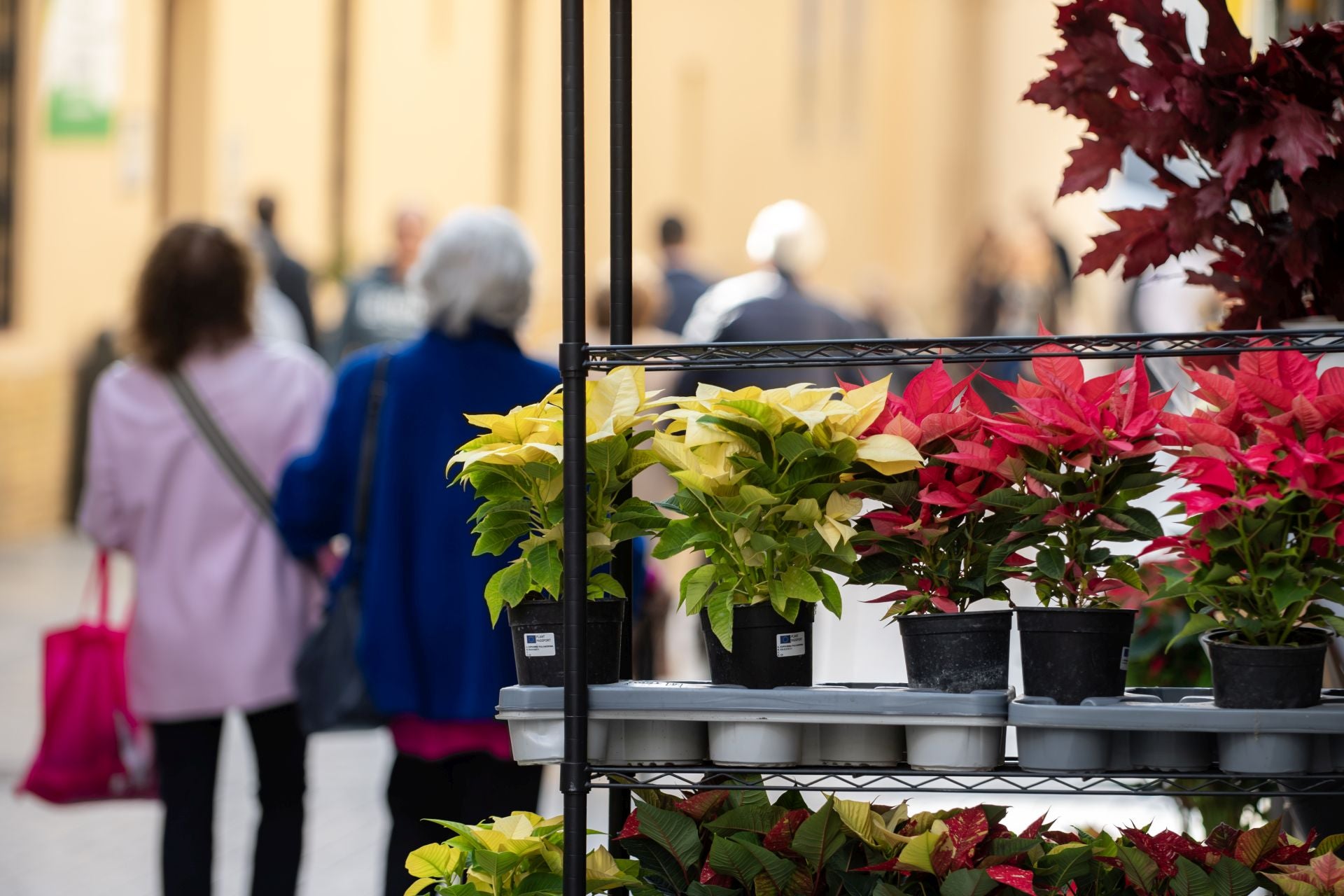 Los primeros momentos de ocio de las fiestas navideñas, en imágenes