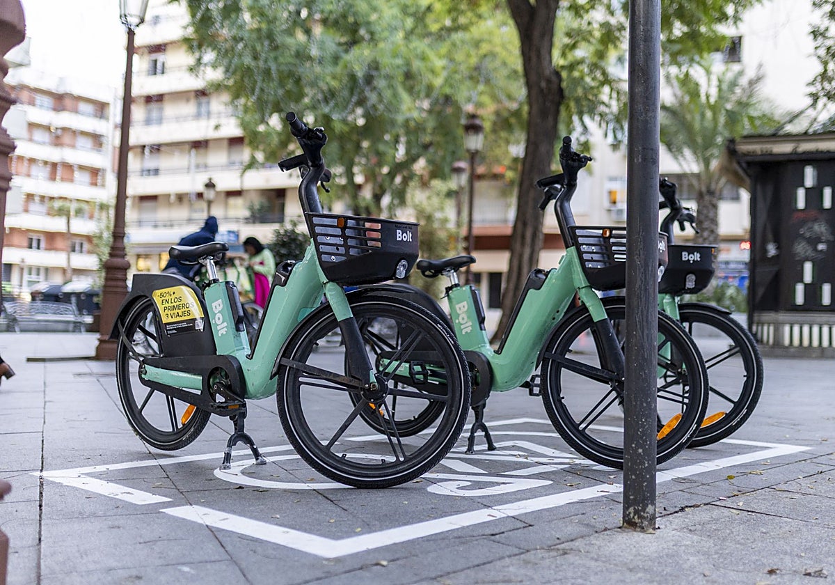 El aparcamiento habilitado en la Palmera