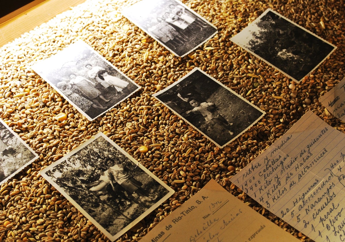 Exposición