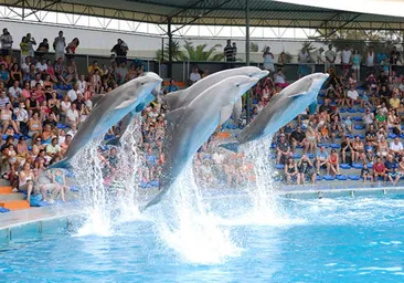 Escapada en familia a Zoo Marine Algarve: horarios, entradas, cómo llegar y qué saber antes de ir